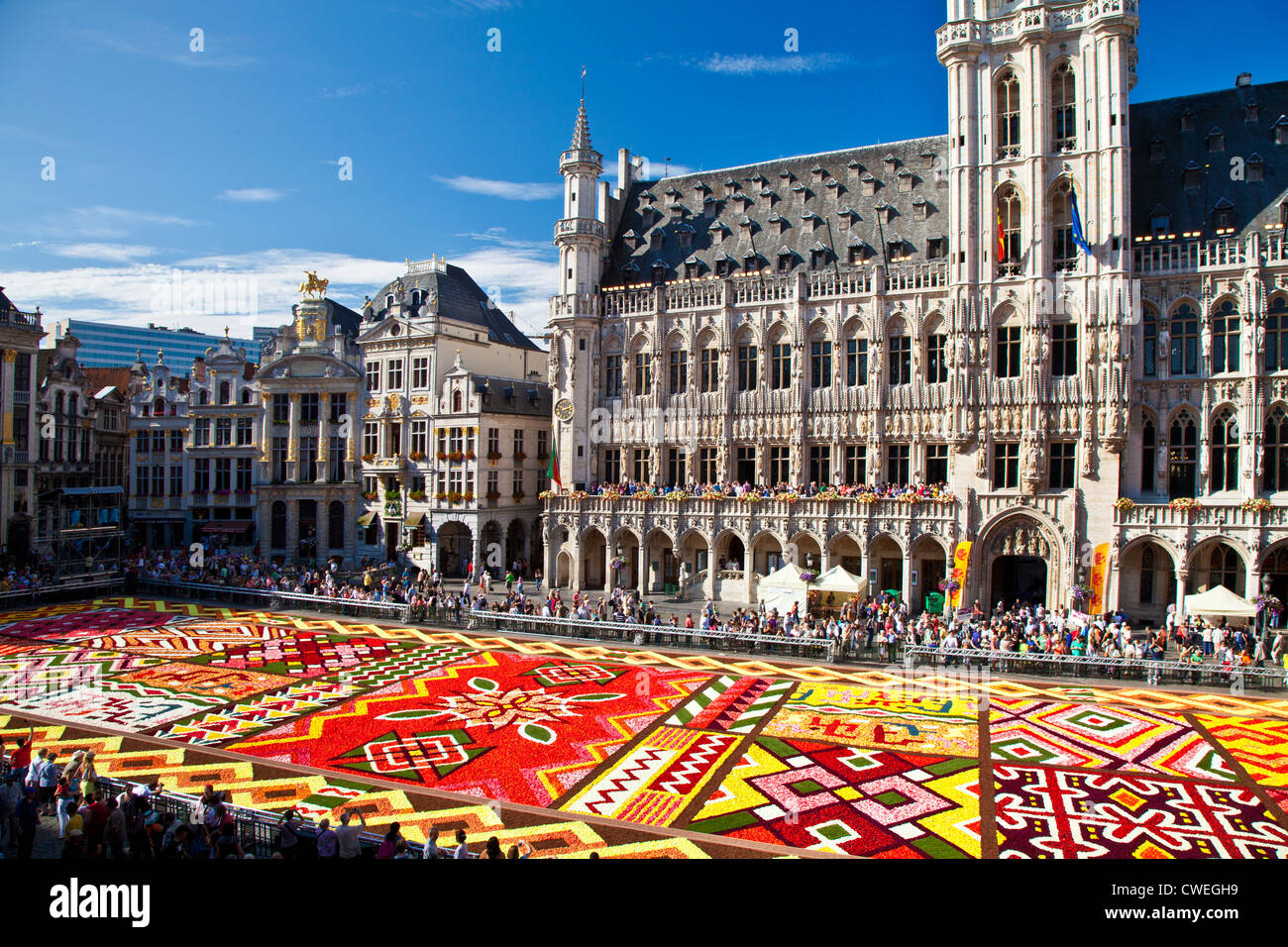 2012 Flower Carpet, Tapis de Fleurs, in front of the City Hall in the Grand-Place, Brussels Stock Photo