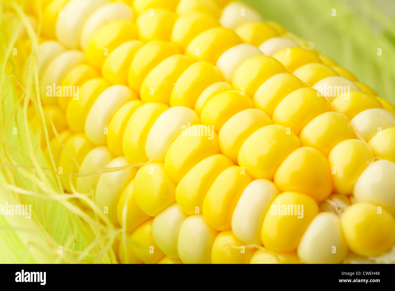corn cob Stock Photo