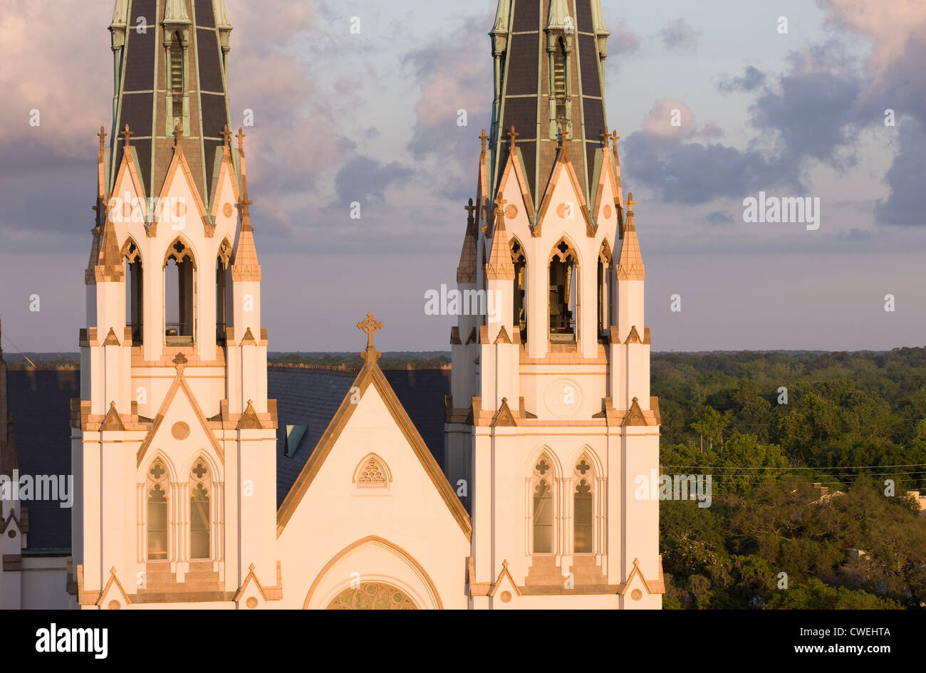 CATHEDRAL OF SAINT JOHN THE BAPTIST SKYLINE SAVANNAH GEORGIA USA Stock ...