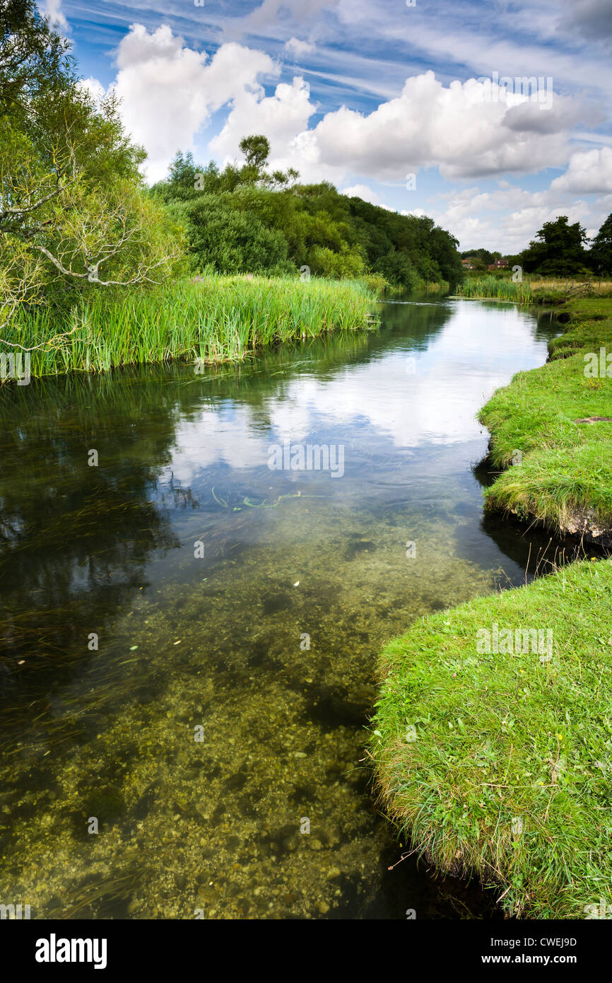 The River Test at Stockbridge, Hampshire England Stock Photo Alamy
