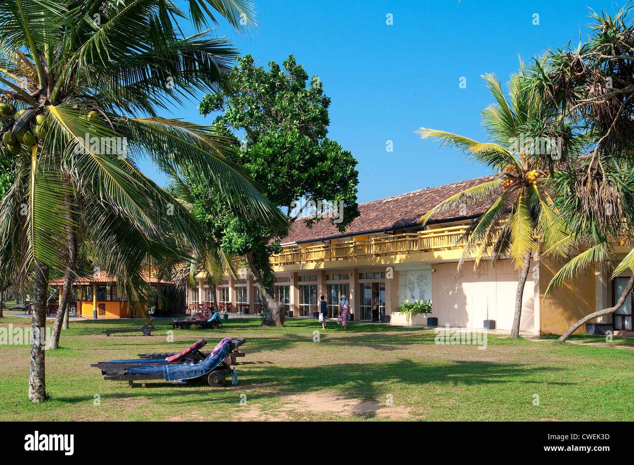 Lihiniya Surf Hotel Garden and Rooms, Bentota, Sri Lanka Stock Photo ...