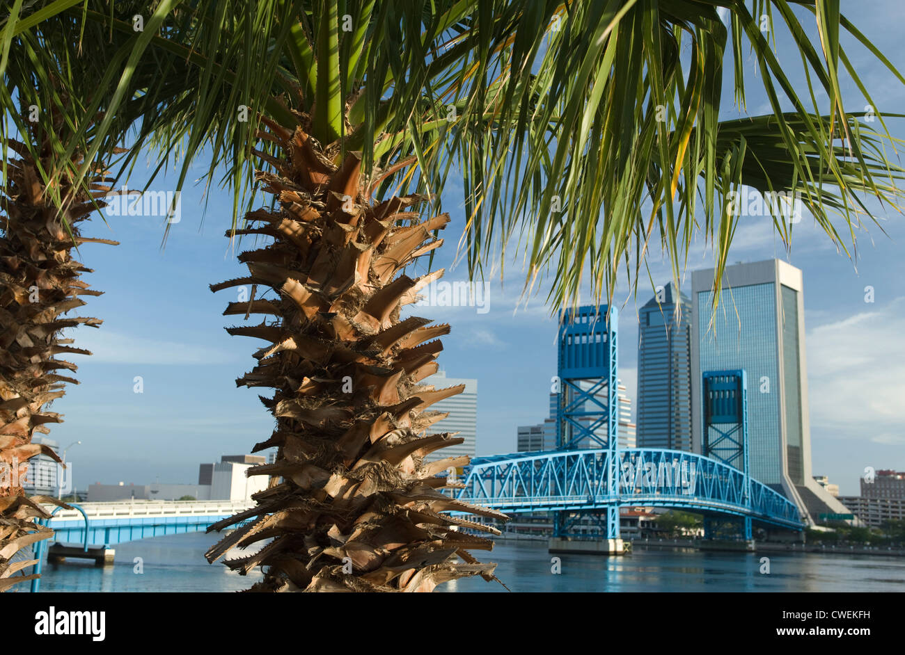 SAINT JOHNS RIVER DOWNTOWN SKYLINE JACKSONVILLE FLORIDA USA Stock Photo