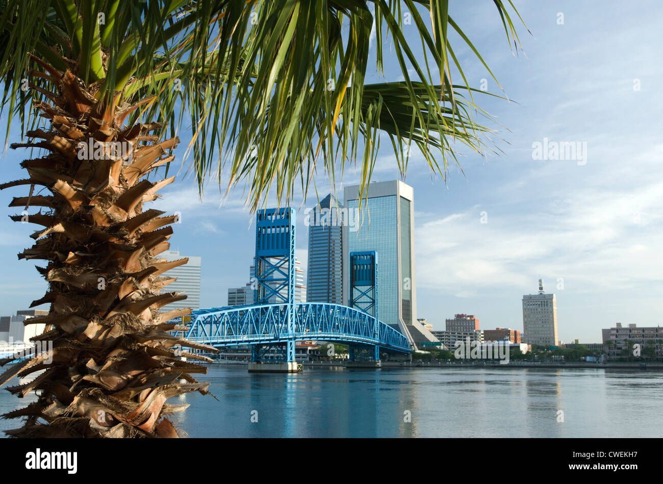 SAINT JOHNS RIVER DOWNTOWN SKYLINE JACKSONVILLE FLORIDA USA Stock Photo
