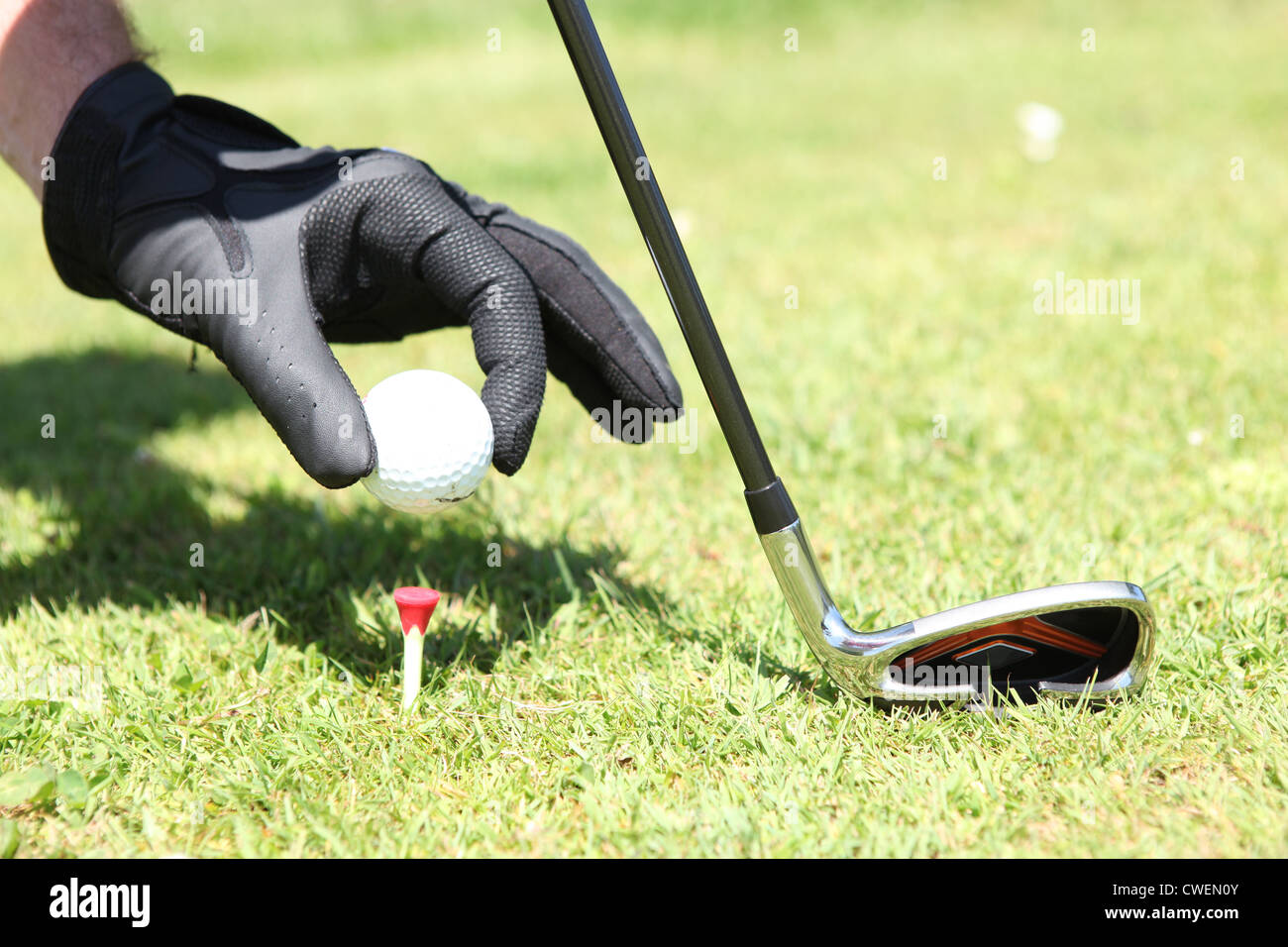 Placing golf ball Stock Photo Alamy