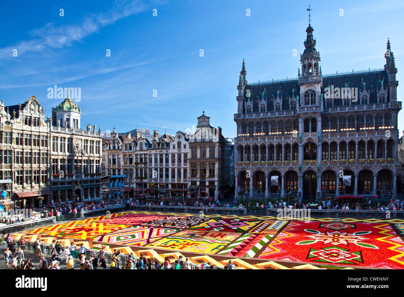 2012 Flower Carpet, Tapis de Fleurs, in front of the Maison du Roi,Broodhuis,Museum in the Grand-Place, Brussels Stock Photo