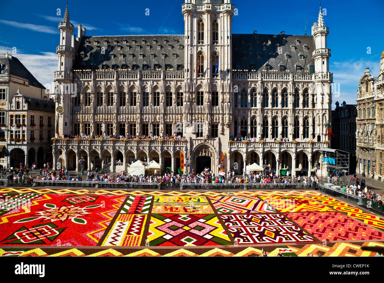 2012 Flower Carpet, Tapis de Fleurs, in front of the City (Town) Hall, Stadhuis, in the Grand-Place, Grote Markt, Brussels Stock Photo