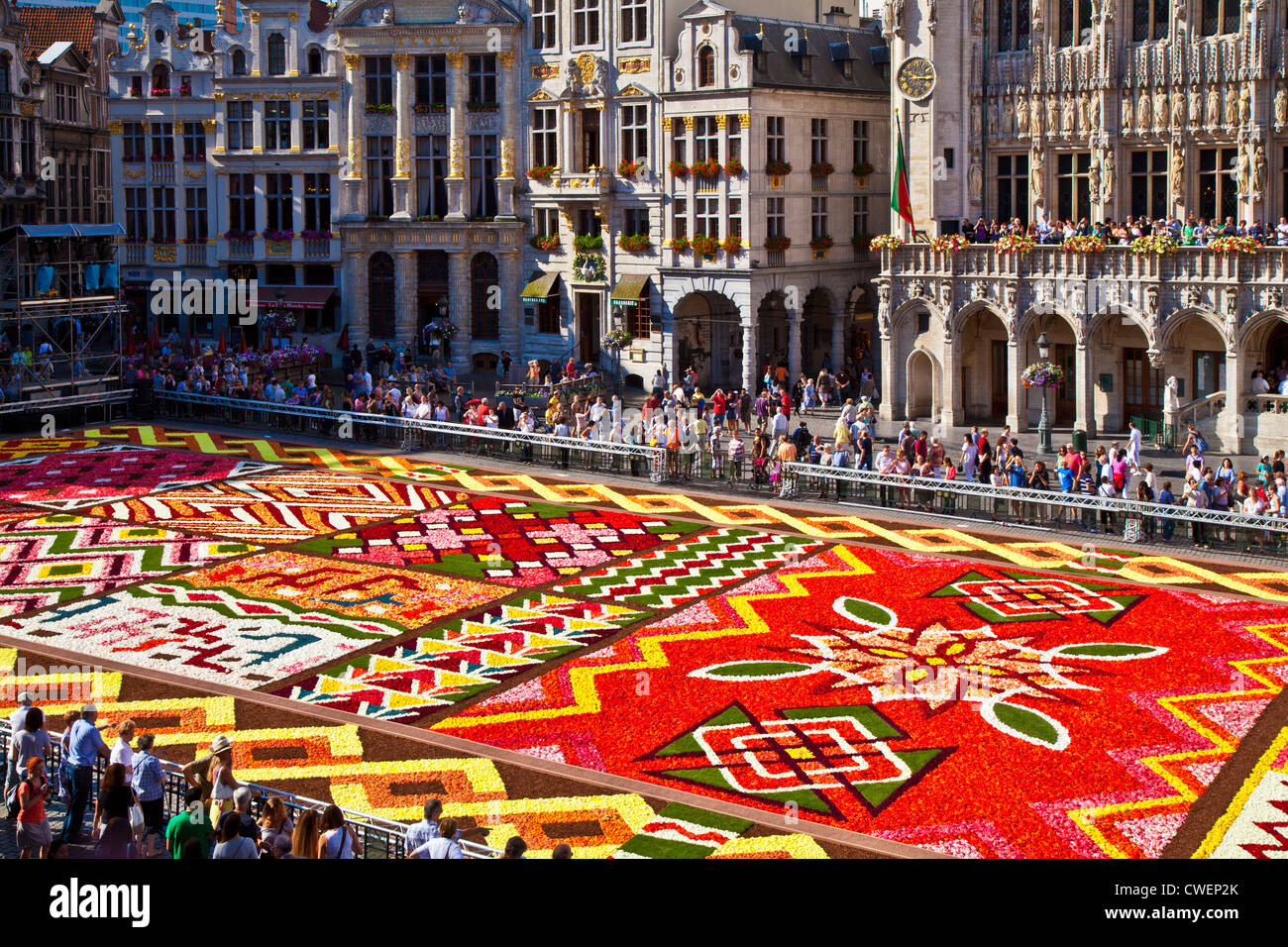 2012 Flower Carpet, Tapis de Fleurs, in the Grand-Place, Grote Markt,  Market Square, Brussels Stock Photo - Alamy