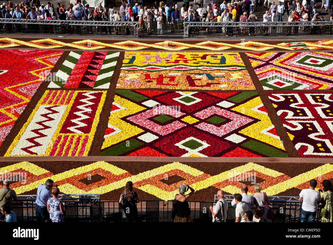 Detail of 2012 Flower Carpet, Tapis de Fleurs, in the Grand-Place, Brussels Stock Photo