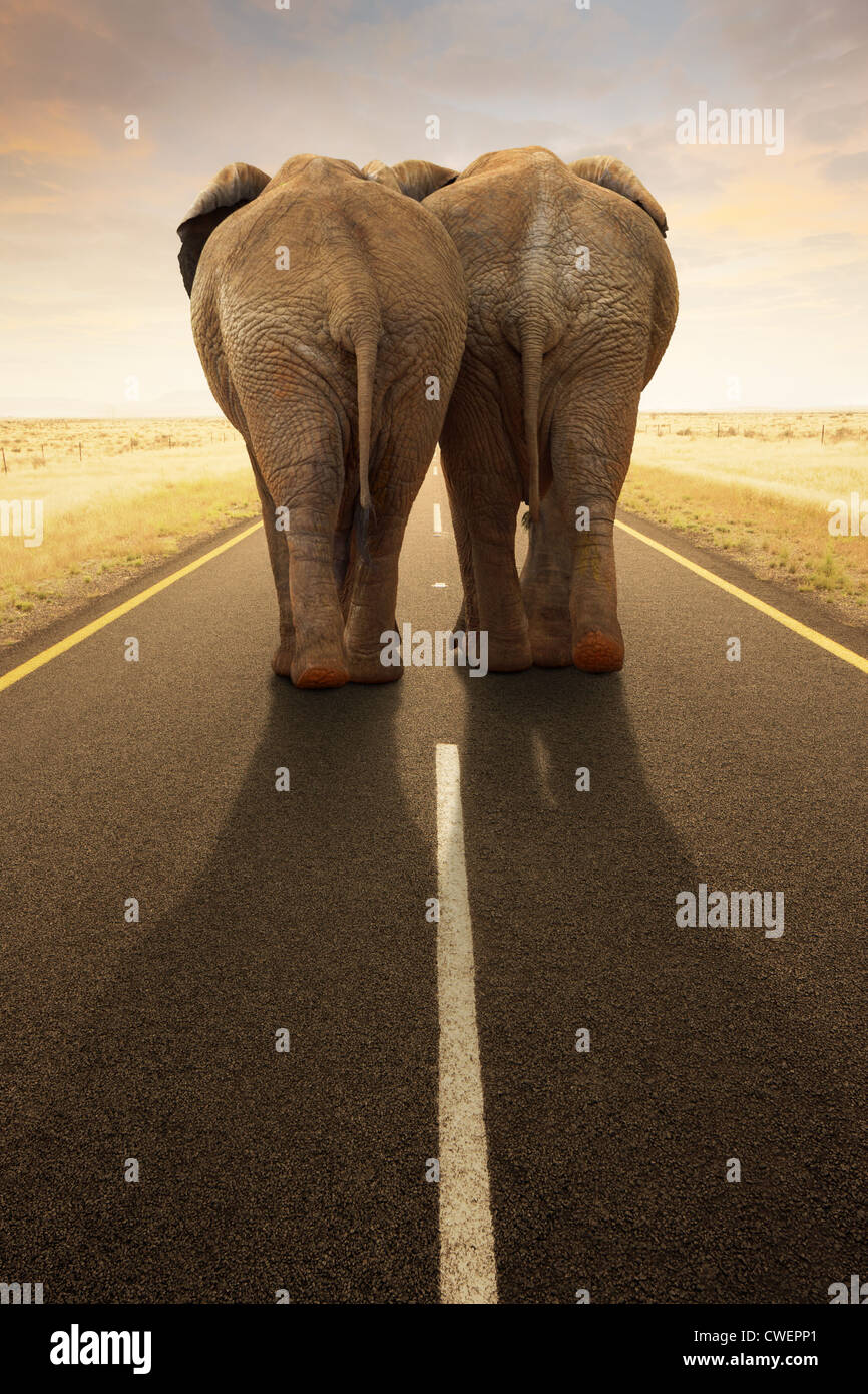 Conceptual Image - Going away together / travel by road (Digital composite) Stock Photo