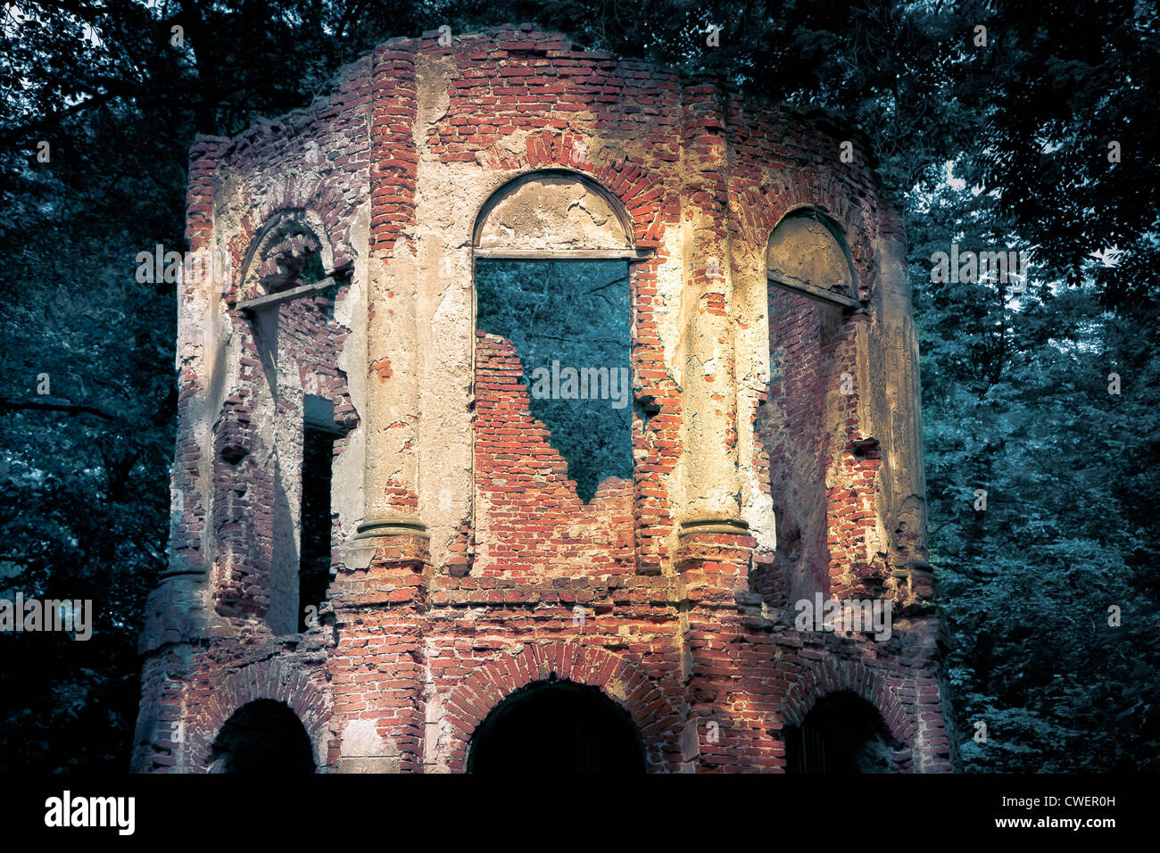 Ruins in dark forest  - Morysin Stock Photo