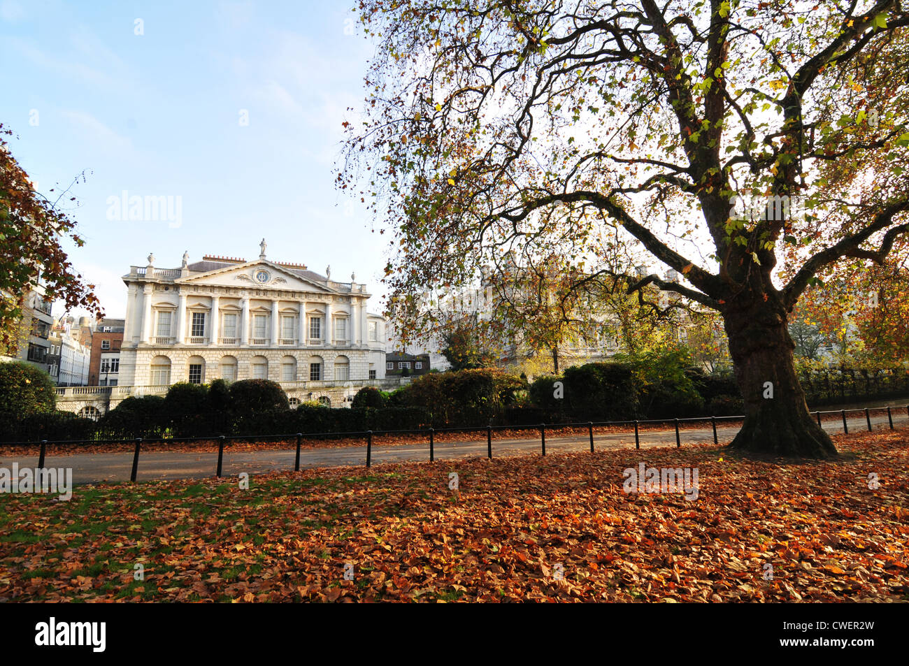 Autumn yellow trees in the park with white fence hi-res stock ...