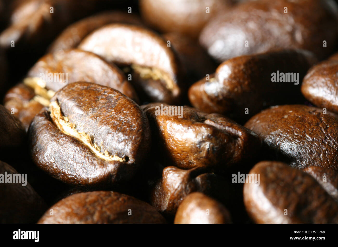 Close-up of coffee beans Stock Photo