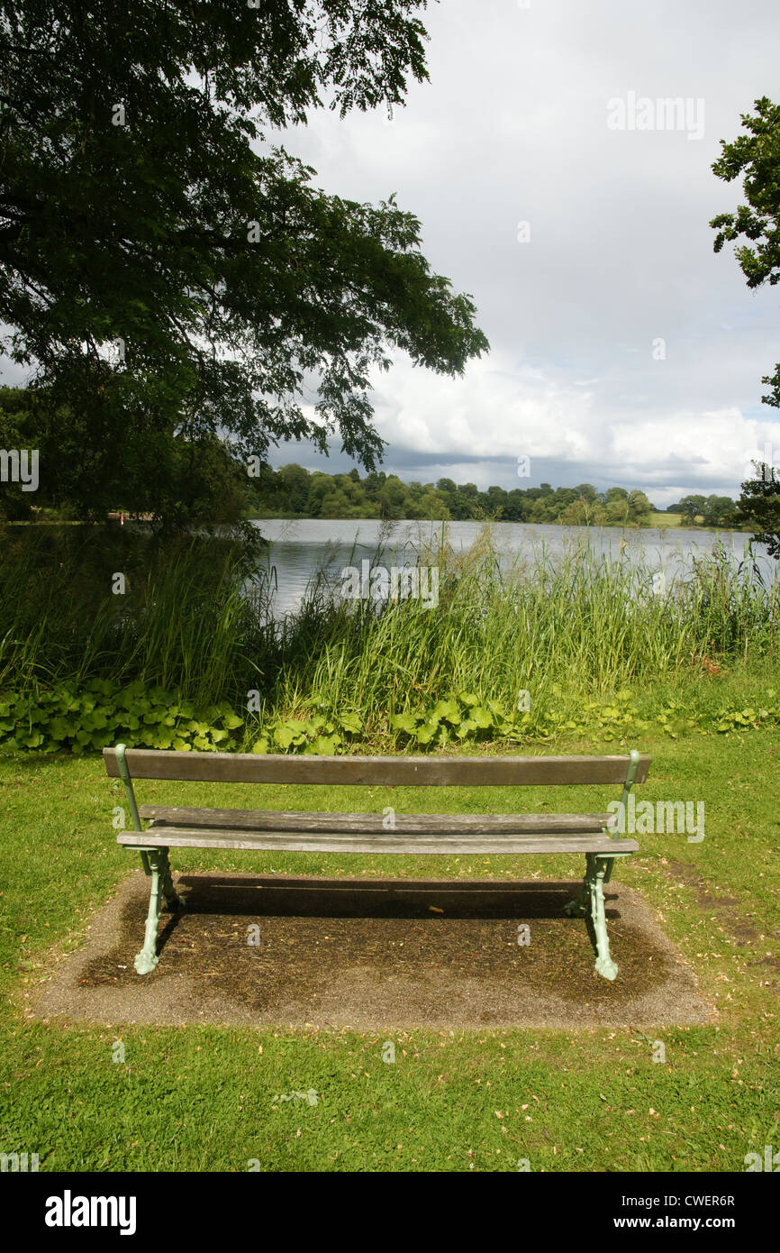 An empty park bench looking out over a lakeside view in Ellesmere Shropshire Stock Photo