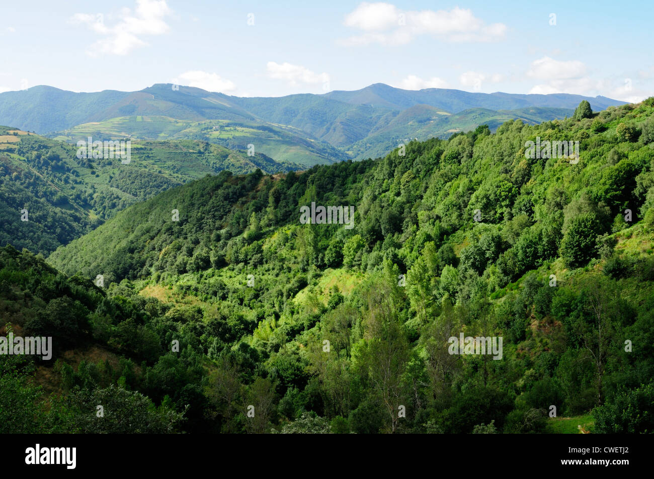 O Courel mountain range. Lugo, Galicia, Spain Stock Photo