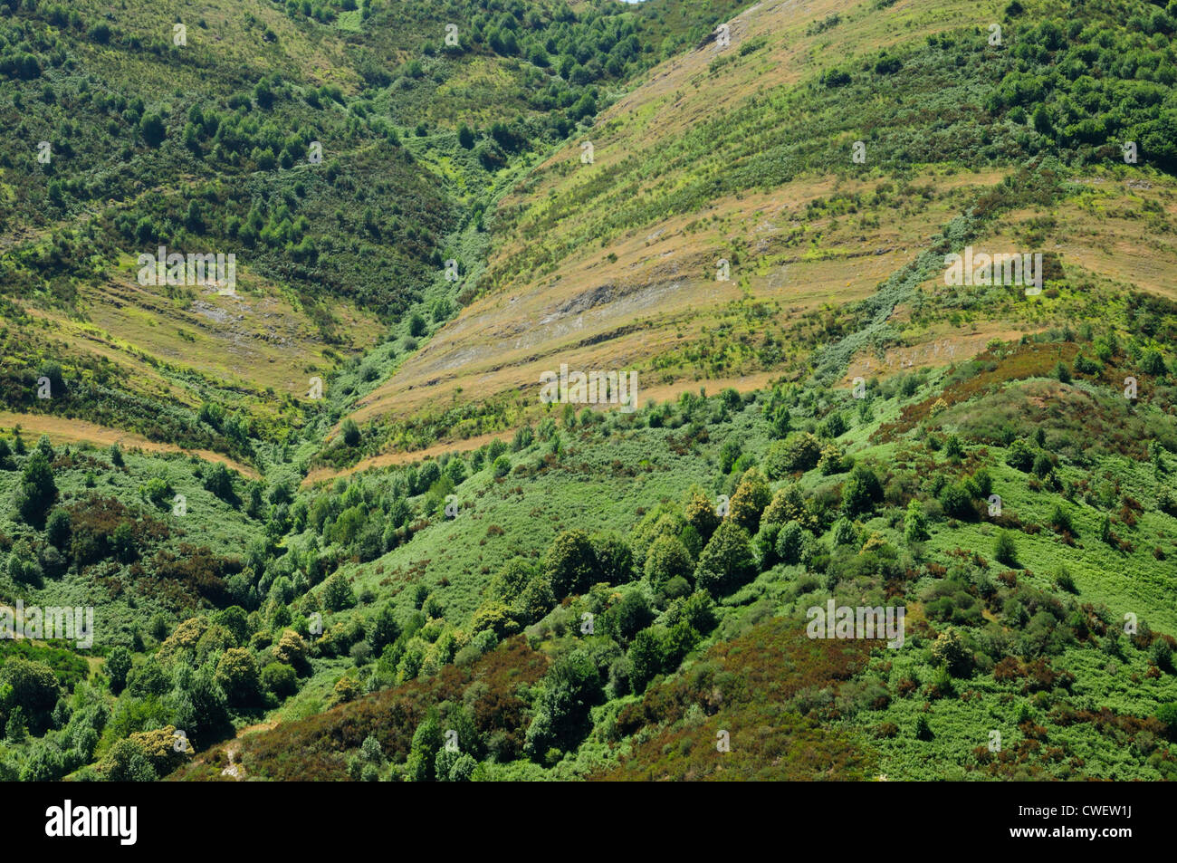 Slopes of the Mount Formigueiros in O Courel mountain range. Galicia, Spain Stock Photo