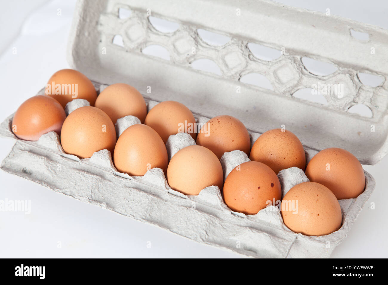 A dozen eggs isolated on white. Stock Photo