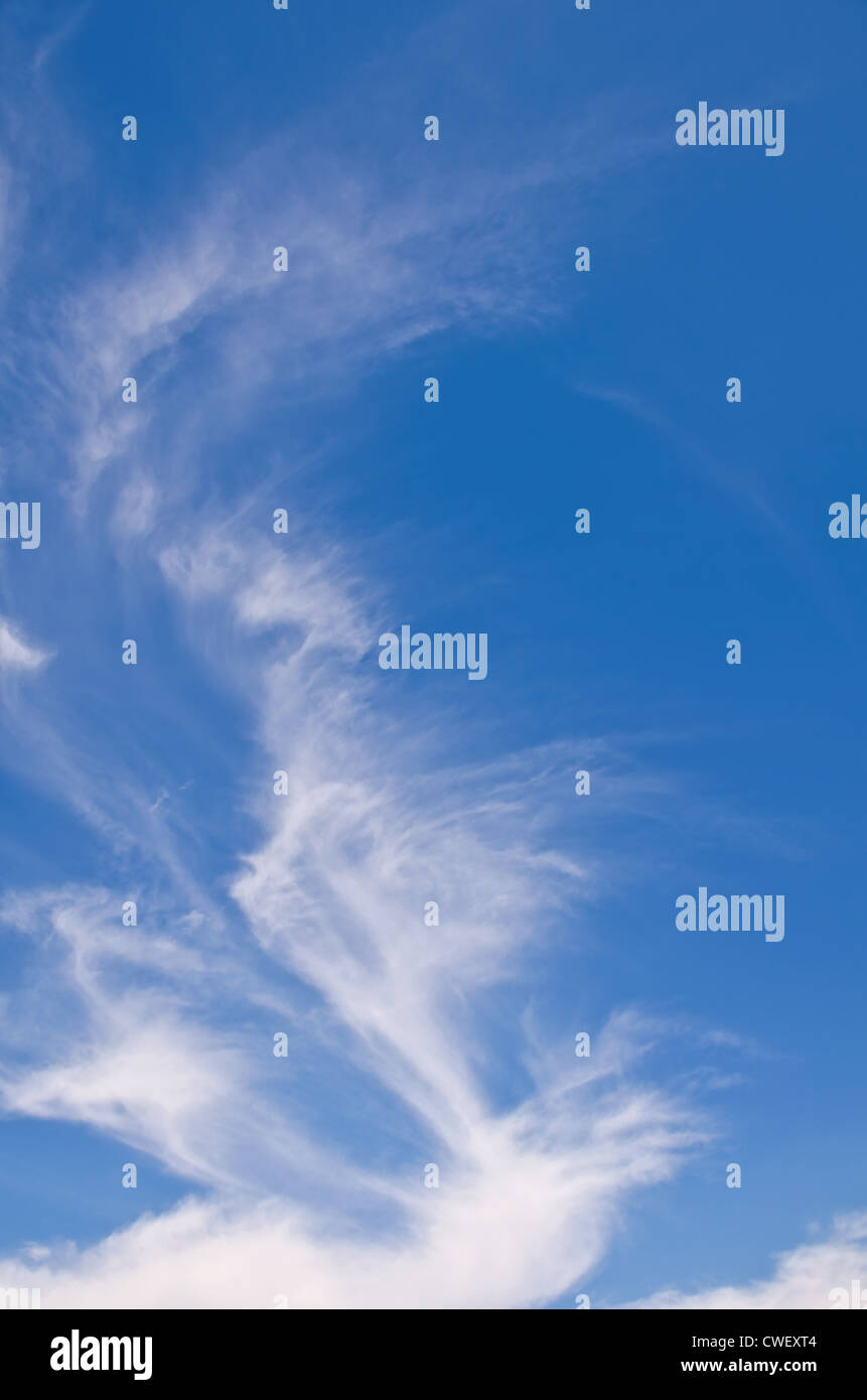 Light blue sky with wispy white clouds hi-res stock photography and ...