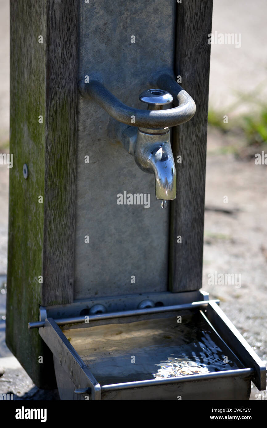 Tap at park with water troff for dogs to drink from Stock Photo