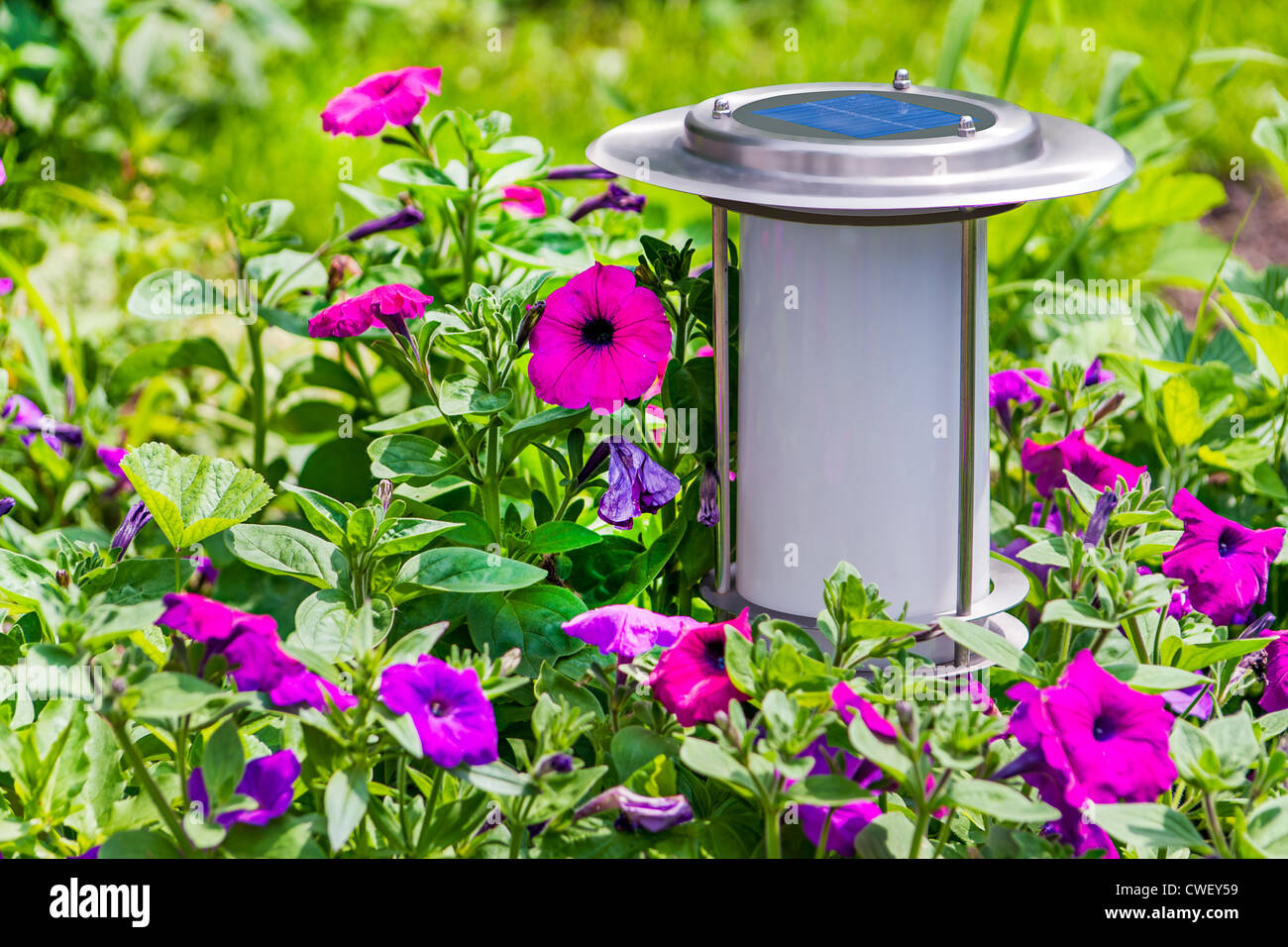 A solarpowered garden lamp these save electricity and are very eco