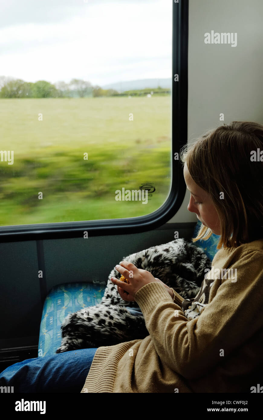 Young girl eating while traveling on a bus, Wales Stock Photo Alamy