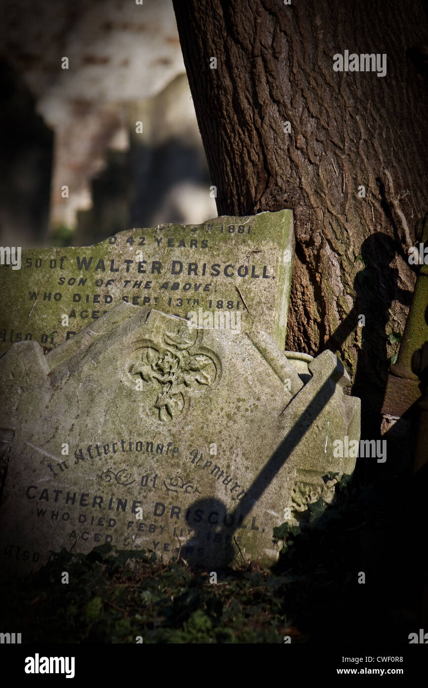 Broken old headstones in a graveyard Stock Photo - Alamy