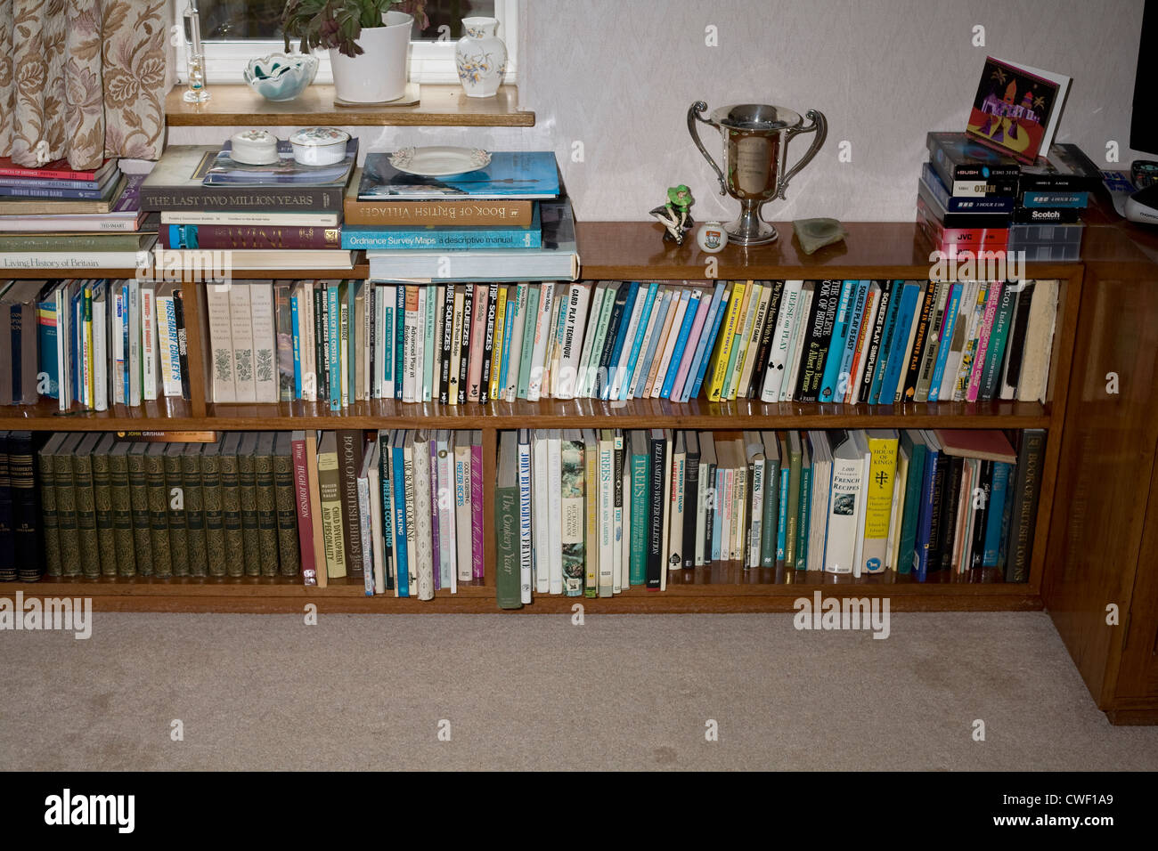 A bookcase or bookshelf with mainly books mainly on the card game bridge, with a cup and other bric a brac on top Stock Photo