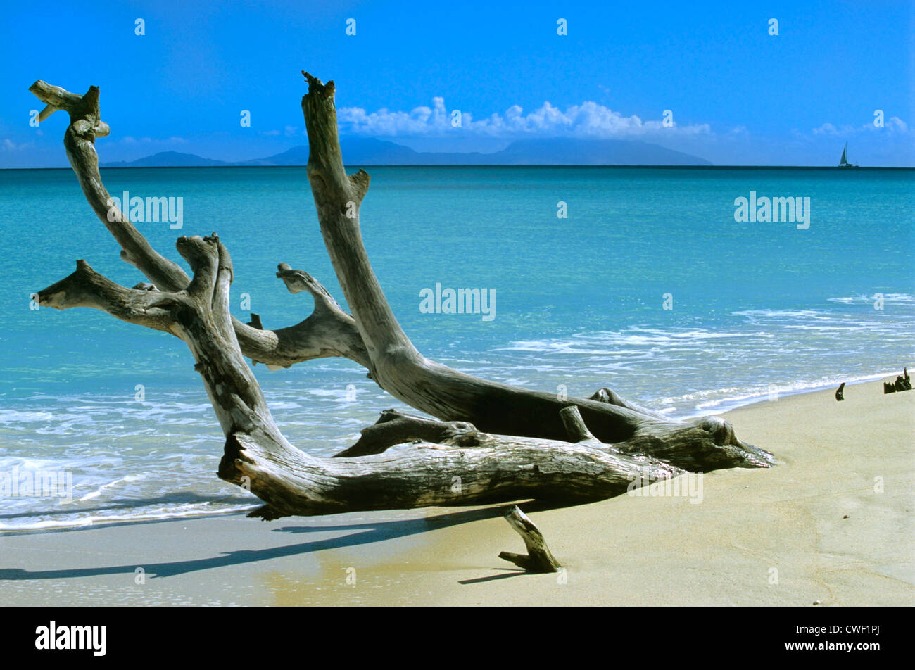 Darkwood beach Antigua Caribbean Stock Photo