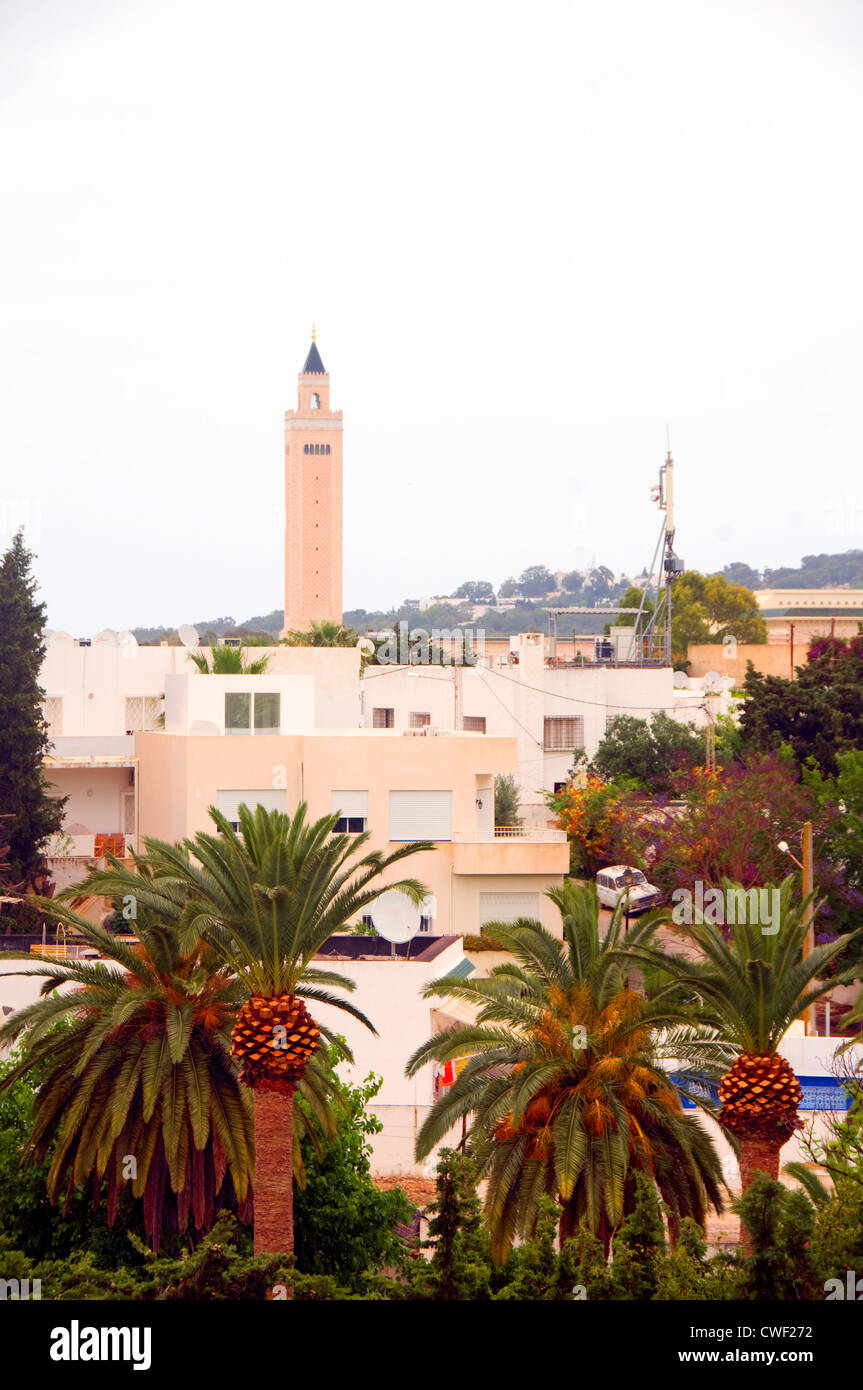 cityscape buildings mosque plants and trees Carthage Tunisia Stock Photo