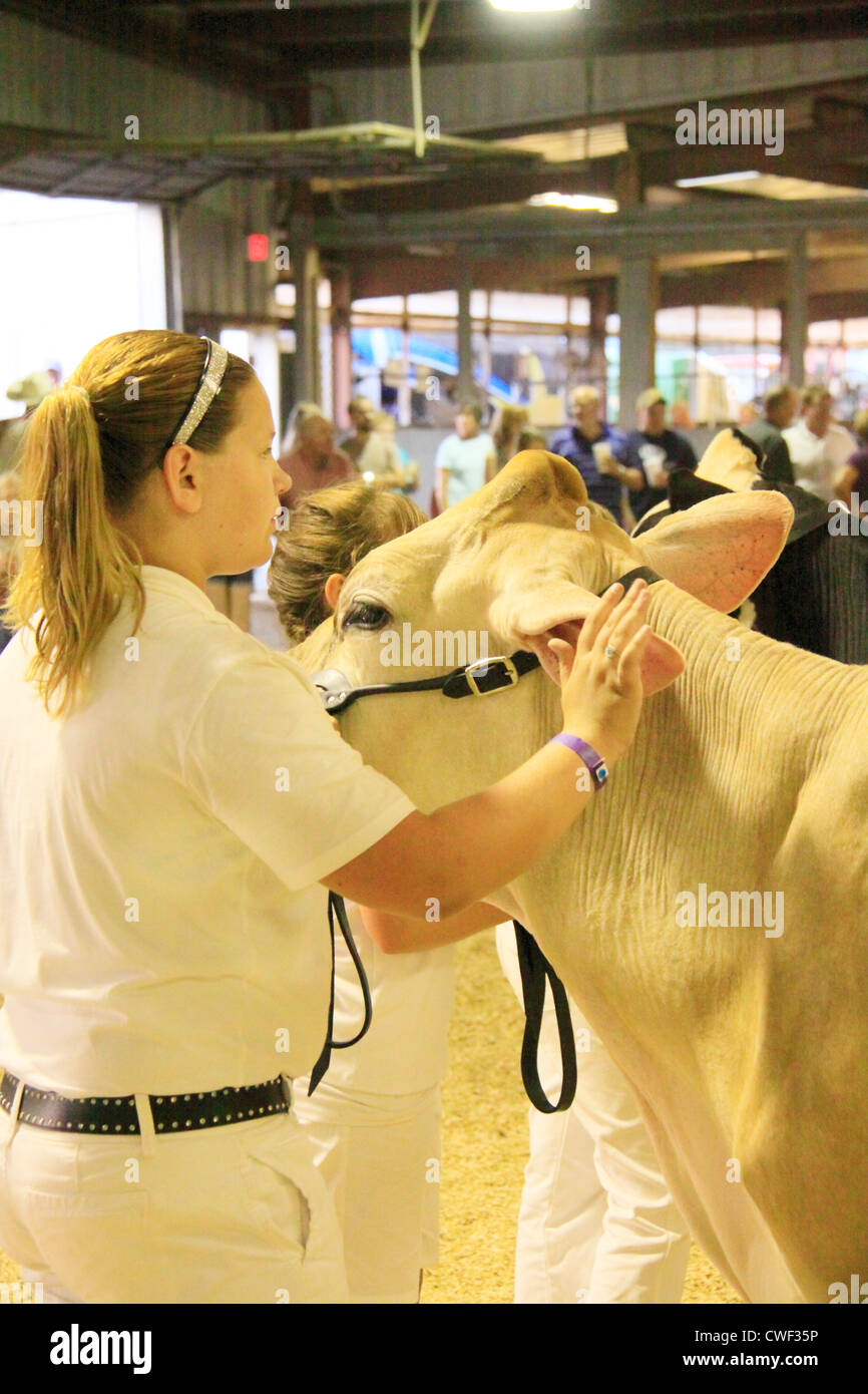 4h youth hires stock photography and images Alamy