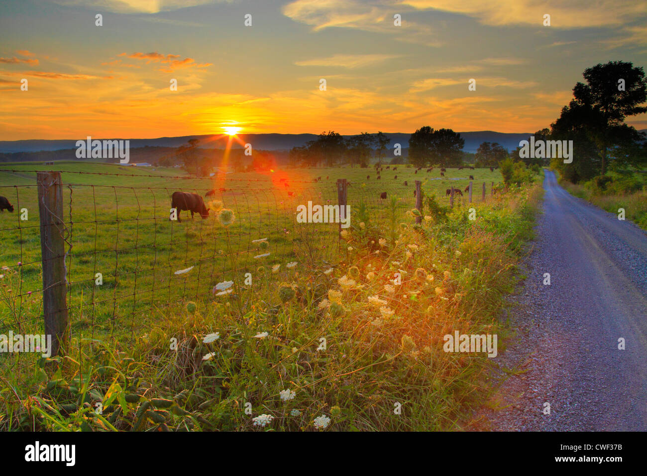 Country Road, Middlebrook, Shenandoah Valley, Virginia, USA Stock Photo