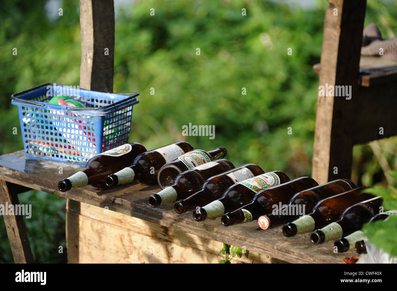 Line of empty beer bottles on a shelf at the Elephant Conservation Center in Laos Stock Photo