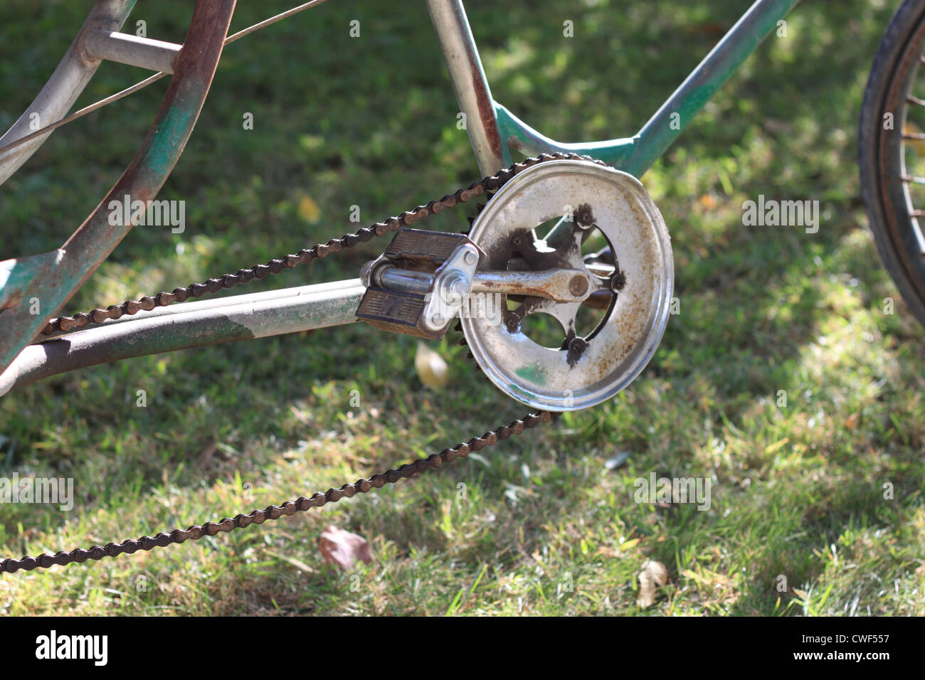 A tricycle on the grassplot. Stock Photo