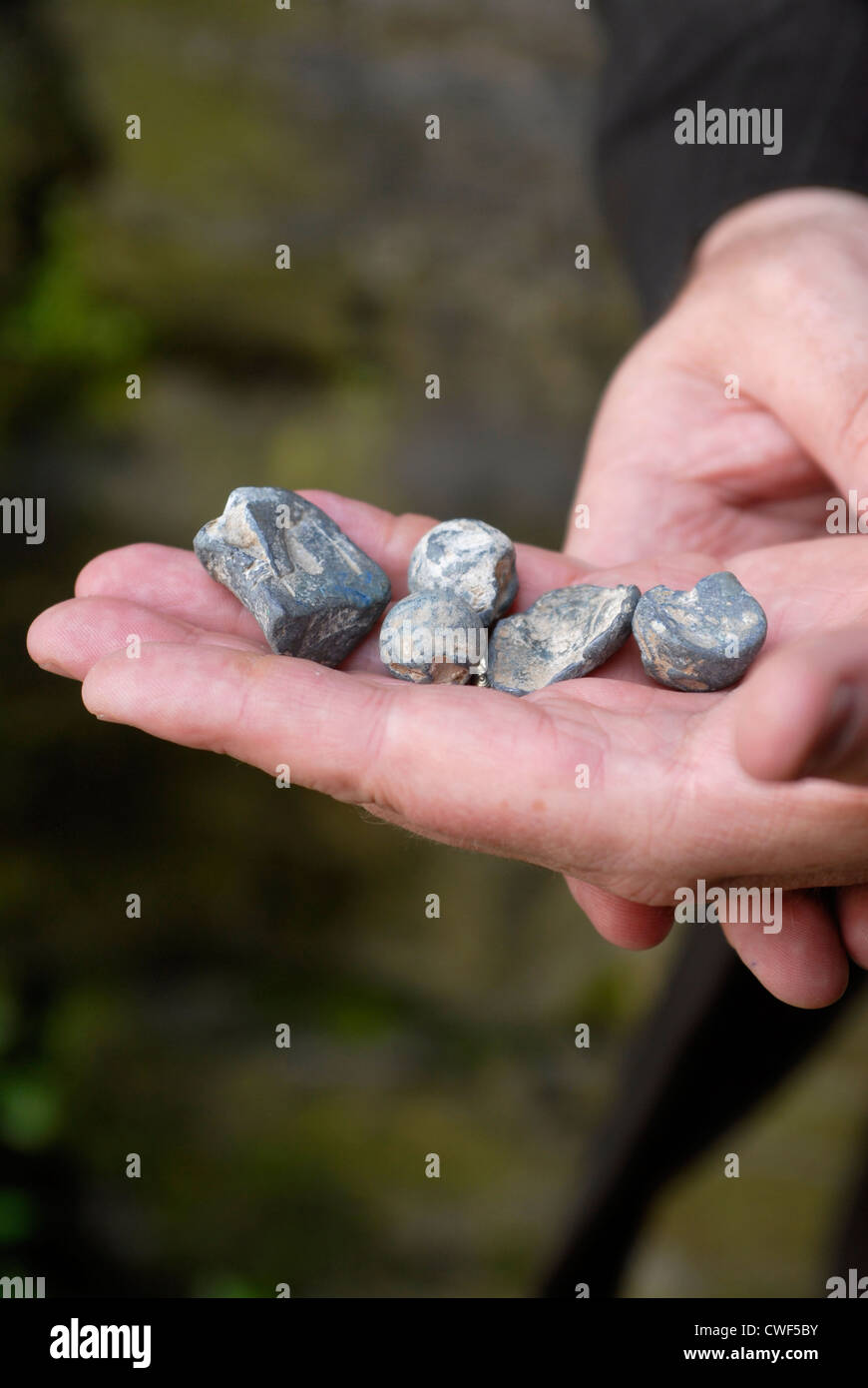 Lead Bullets from the battle against the Spanish Armada, New Gate, County Offaly, Leinster, Ireland. Stock Photo