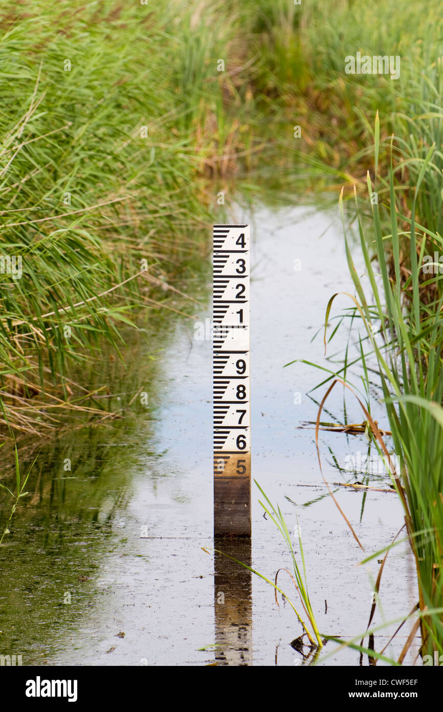 Ditch in reedbed with water gauge, Essex, UK Stock Photo
