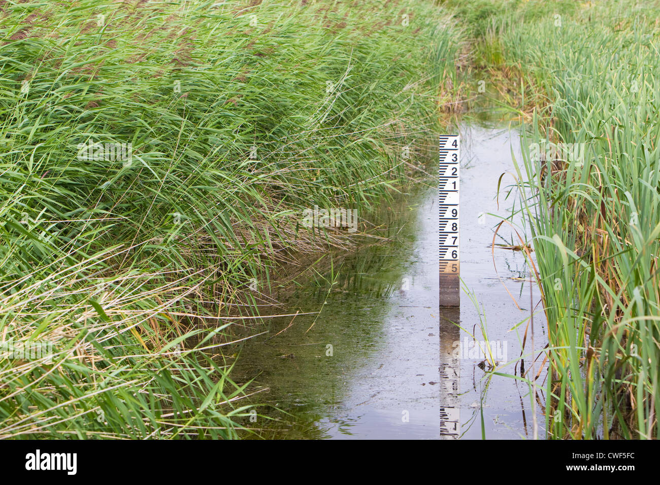 Reedbed dike ditch hires stock photography and images Alamy