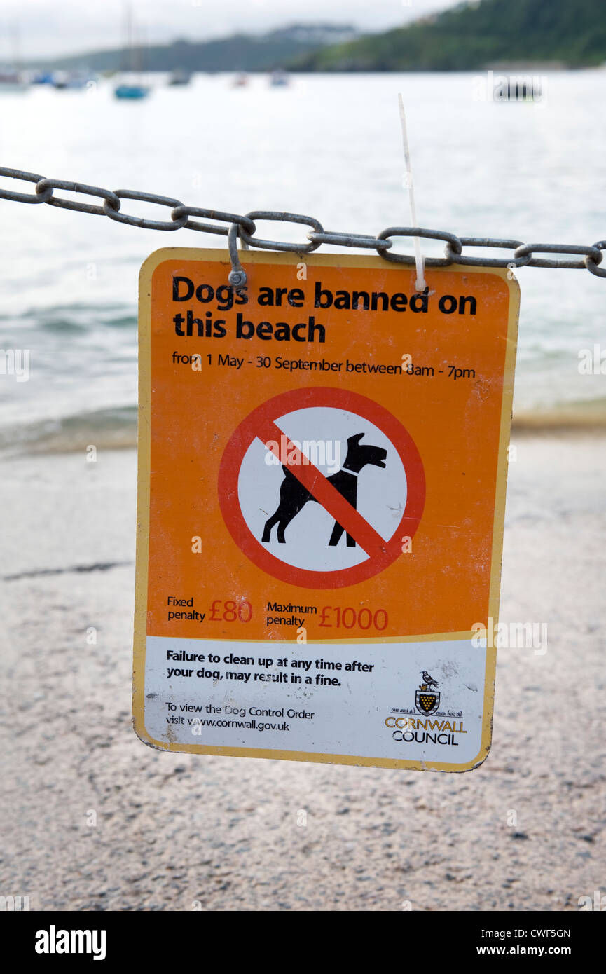 Are Dogs Banned On Beaches