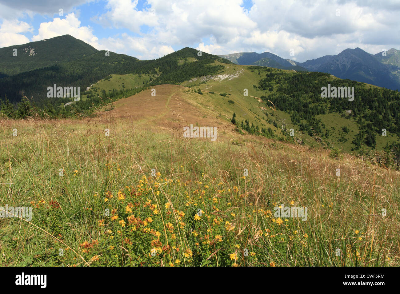 View of Rohace mountain range from the summit of Babky, High Tatras National Park, Slovakia. Stock Photo
