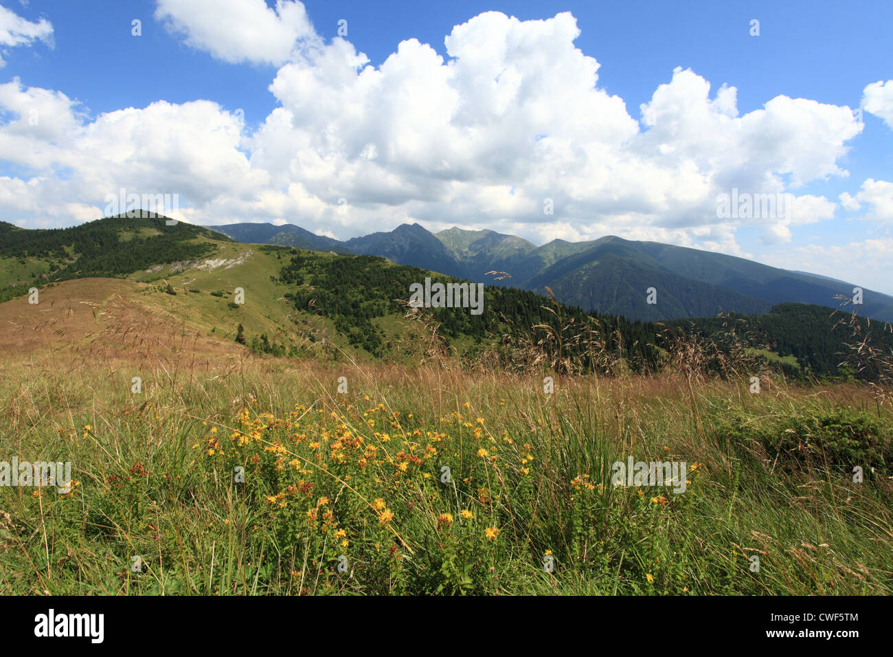 View of Rohace mountain range from the summit of Babky, High Tatras National Park, Slovakia. Stock Photo