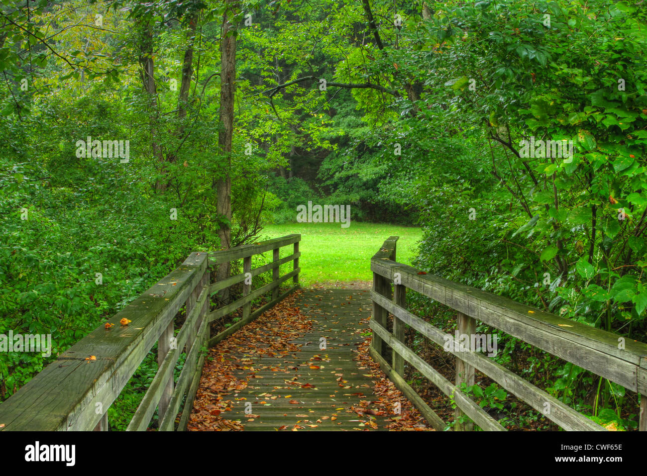 Bridge to the Meadow. Wood Bridge. Mill Creek Park, Youngstown, Ohio