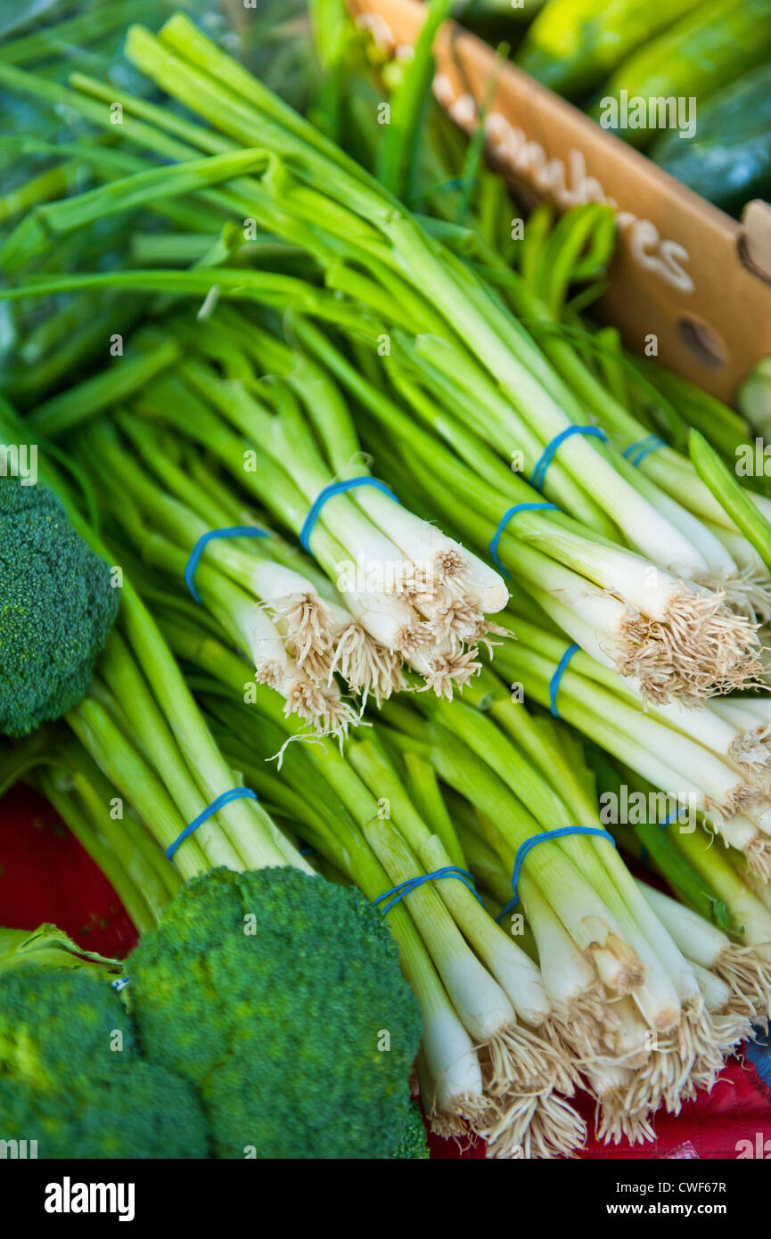 Green onions broccoli cucumbers all on display at a open air market ...