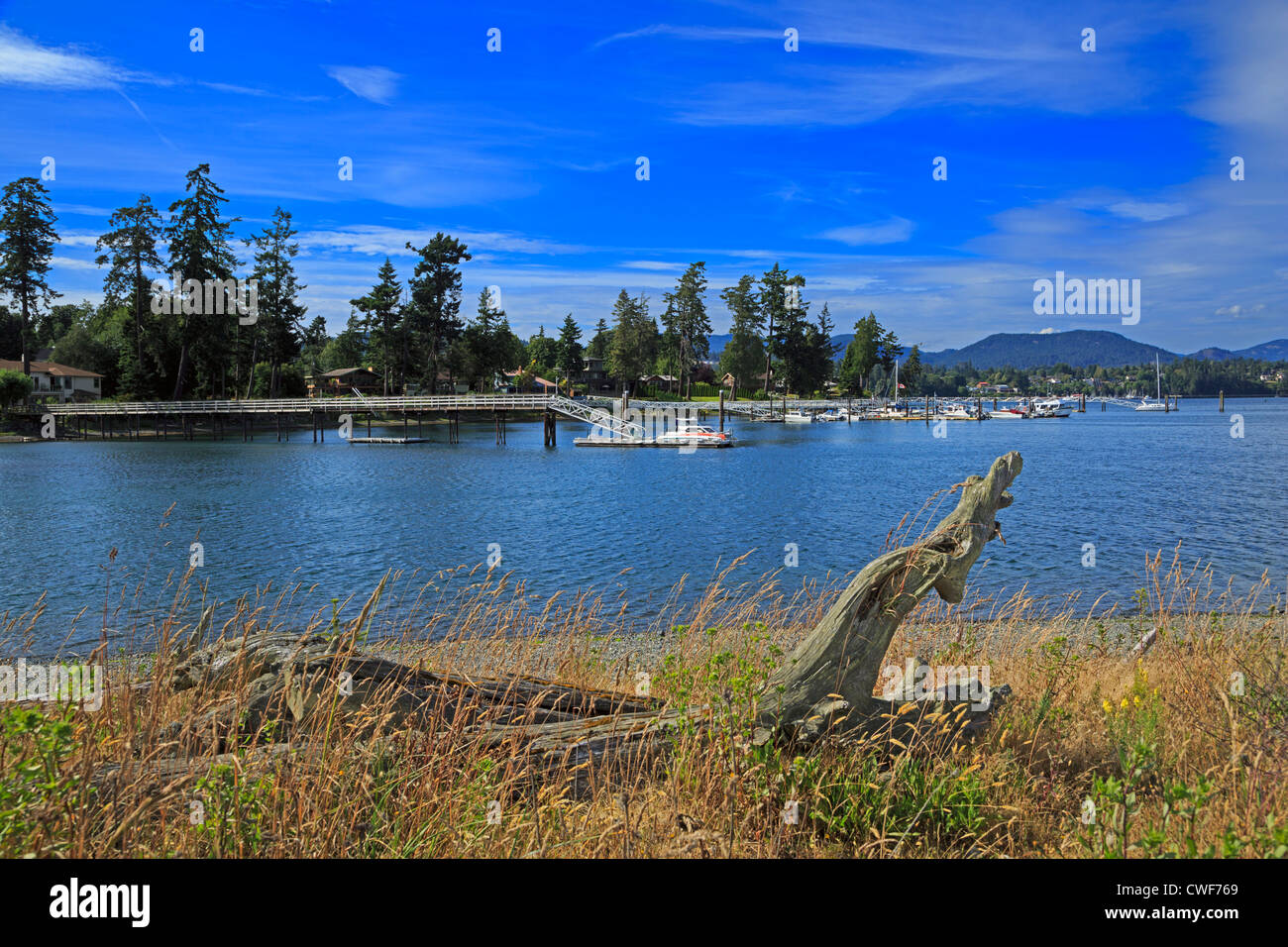 Whiffin Spit and the harbor at Sooke, British Columbia. The spit protects the harbor from the Strait of Juan de Fuca. Stock Photo