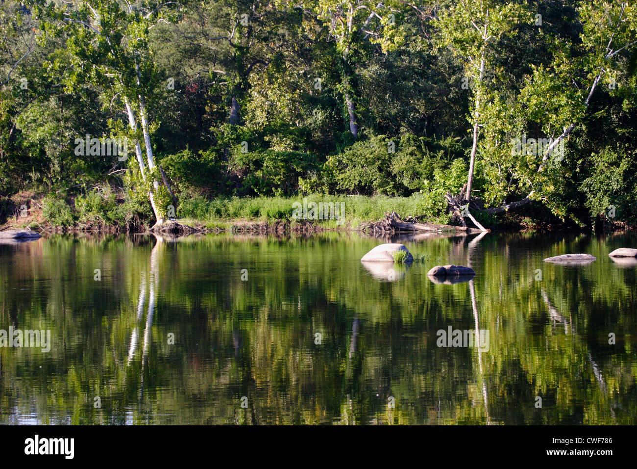 Virginia shallow water river hi-res stock photography and images - Alamy