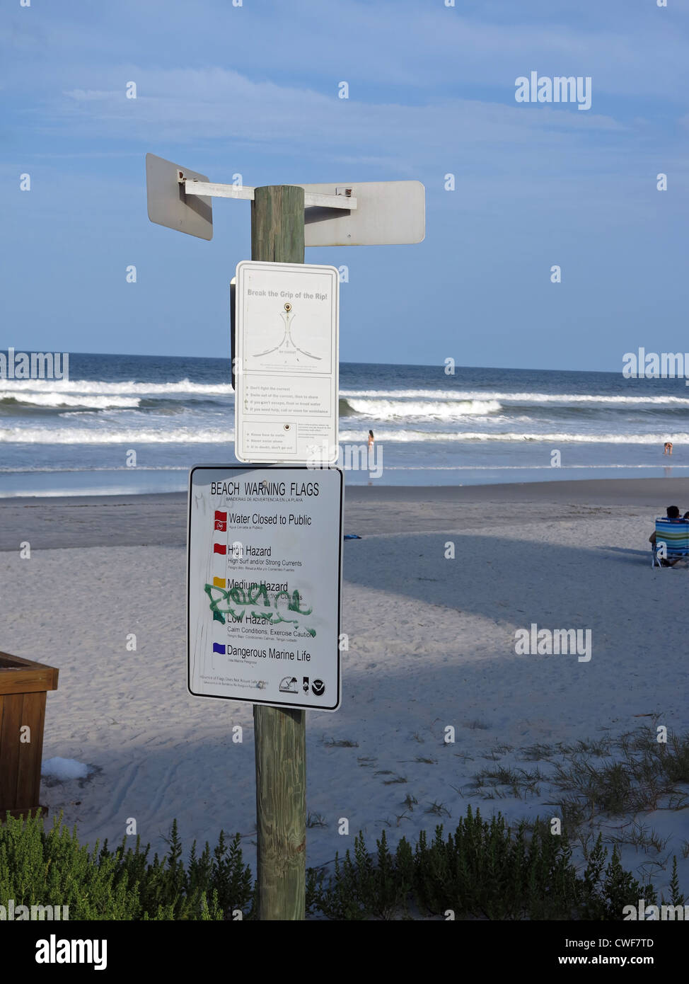Are Dogs Allowed On Jacksonville Beach