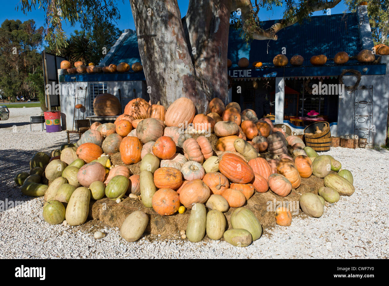 A kuerbis hires stock photography and images Alamy