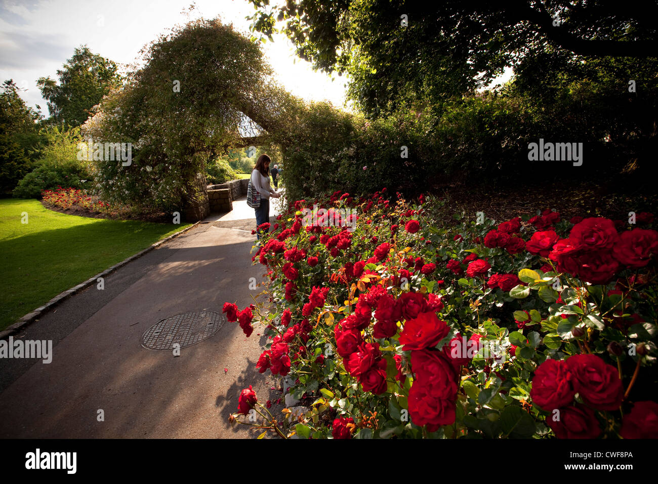 Lady Dixon Park, Belfast Stock Photo