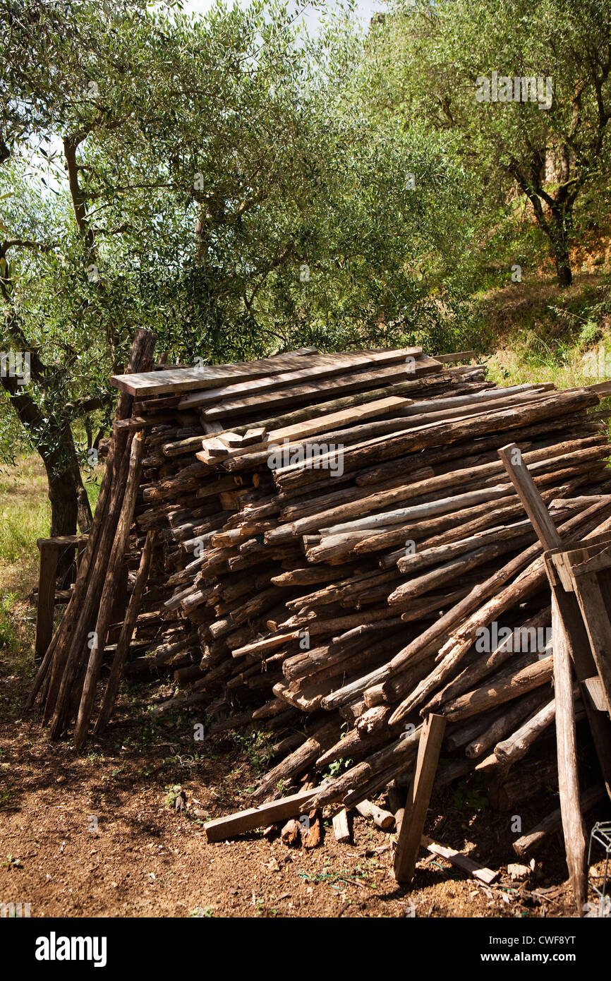 Gathered wood, Tuscany Stock Photo