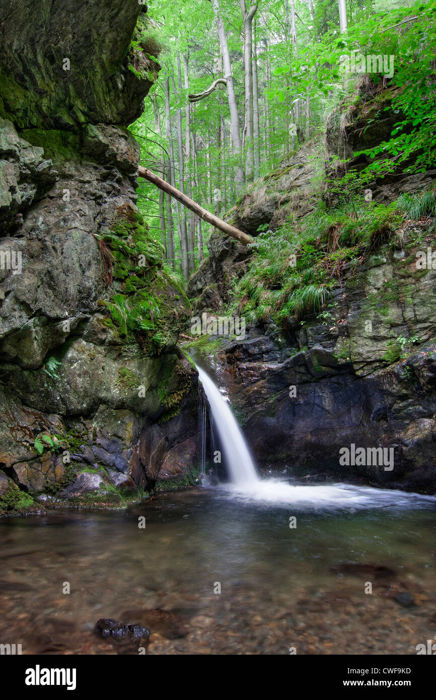 Nyznerov waterfalls - Silver brook, Czech republic.  Silver Creek Falls, also Nyznerov waterfalls Stock Photo