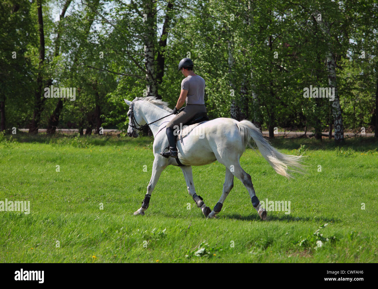 The young man is practising riding english style at the ranch Stock ...