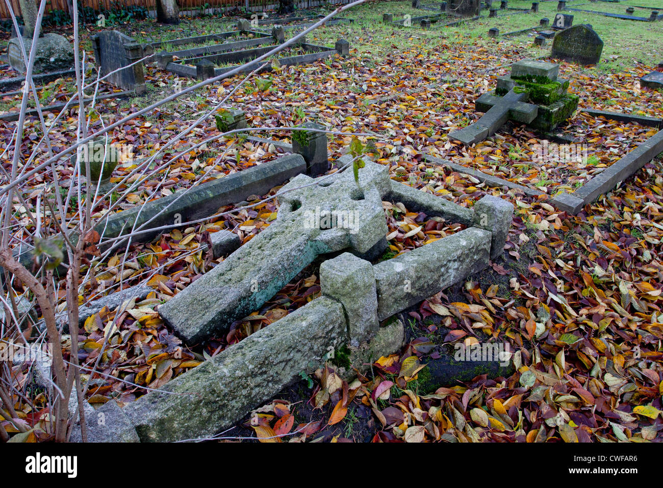 Carpet of leaves and fallen tombstones in a church graveyard in Frimley