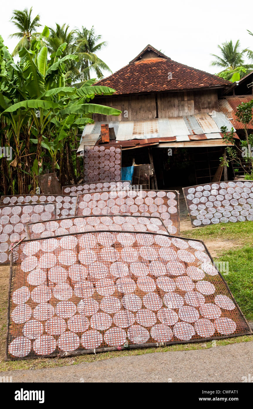 Rice paper production near Battambang, Cambodia Stock Photo - Alamy